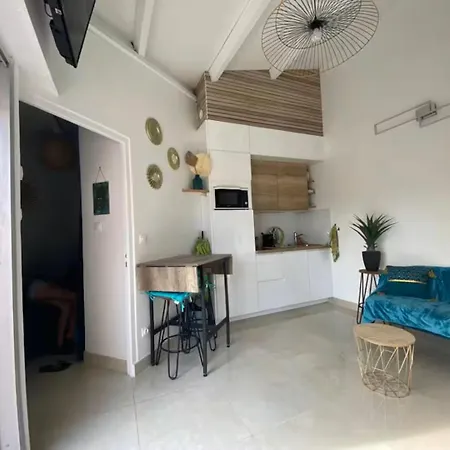 Cap D'Agde-T2 Cabine- 1Ere Ligne Plage Richelieu - Vue Mer Apartman Agde